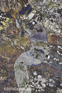 art numérique photographique, Christique, Osmos chadose, Carole Delaye, 2015