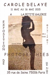 Exhibition Carole Delaye, Petite galerie Art Gallery, Paris 2015