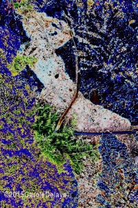 art numérique photographique, Primitif,  Osmos chadose, Carole Delaye, 2015